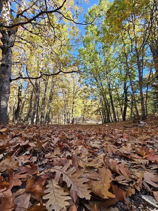Gezegende Sadece Isparta'da Var 6